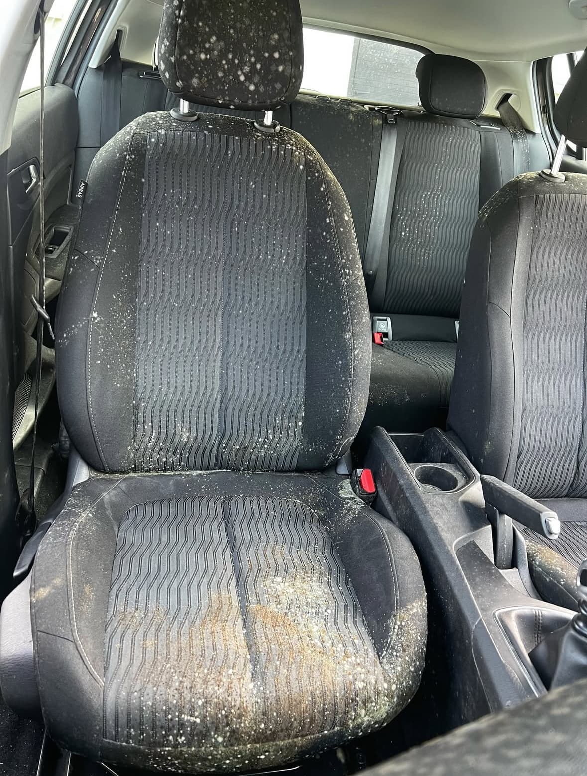 Traitement anti-moisissure siège Peugeot 308 à Lingolsheim à Strasbourg — Avant